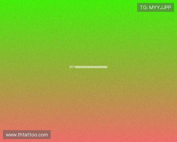 857体育在线观看直播平台全面解析精彩赛事实时更新